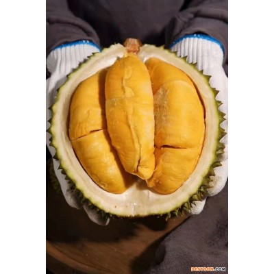 【整件批发】马来西亚猫山王榴莲D197液氮冰鲜整果可零售选果私聊