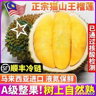 马来西亚D197猫山王榴莲 原箱进口A果当季榴莲整箱批发