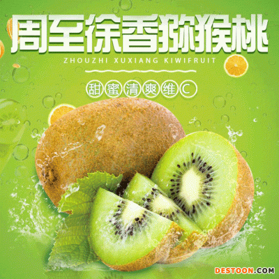 现摘包邮 陕西徐香猕猴桃 5斤当季大果 奇异果批发零售