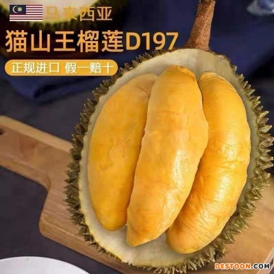 马来西亚进口带壳猫山王榴莲 (D197)榴莲新鲜肉液氮冷冻顺丰批发