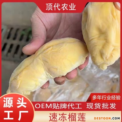 工厂直供速冻榴莲肉 金枕榴莲A级 榴莲肉 榴莲肉冷冻榴莲果肉批发