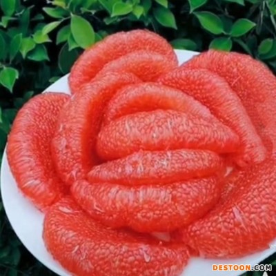 红宝石青柚 红肉蜜柚三红柚子 现摘新鲜 皮薄多汁