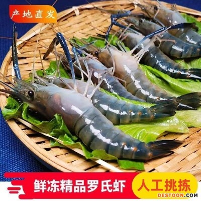 正宗海南哈密瓜新鲜水果当季热带水果精品晓密网纹瓜脆甜多汁
