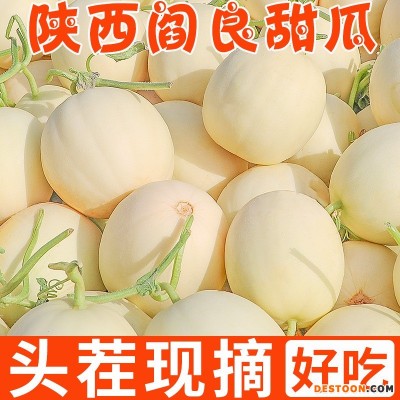 陕西阎良甜瓜水果新鲜当季整箱包邮10斤一箱蜜瓜香瓜哈甜瓜密瓜