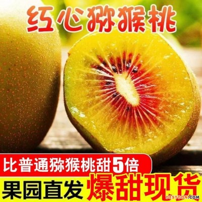 四川蒲江红心猕猴桃新鲜当季水果奇异果应季弥猴桃非绿心一件代发