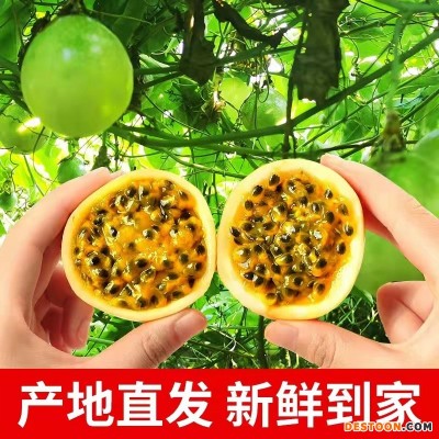 云南黄金百香果爽甜多汁现摘产地发货3斤5斤紫皮钦蜜一件代发