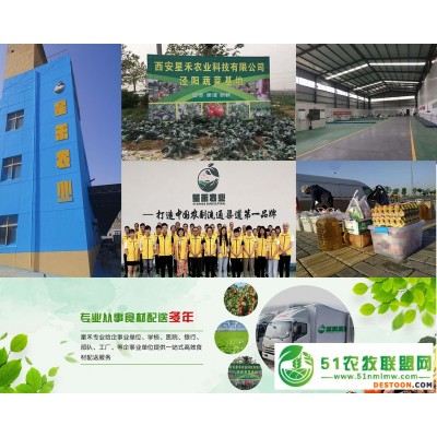 西安蔬菜水果批发配送