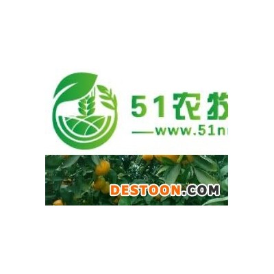 湖北柑橘批发/宜昌柑桔/自家蜜桔