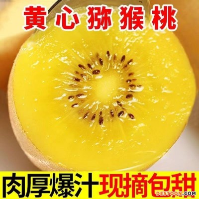 黄心奇异果猕猴桃水果新鲜采摘当天发货一件代发批发团购