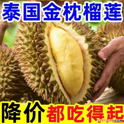 泰国金枕榴莲新鲜水果一件代发厂家直供坏果包赔一件也是代发价