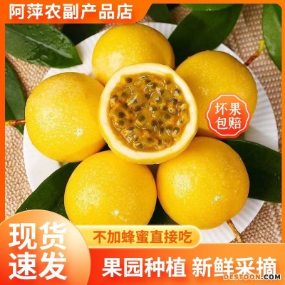 新鲜水果果园种植百香果香甜多汁百香果批发