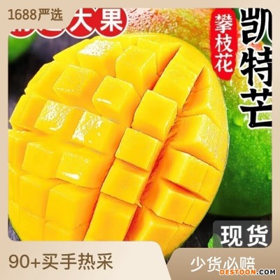 四川攀枝花凯特芒果当季新鲜水果特大芒果青皮整箱攀枝花凯特芒
