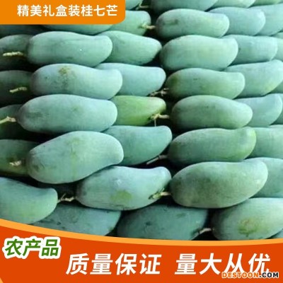广西百色桂七芒果新鲜当季热带水果青芒礼盒果园直发