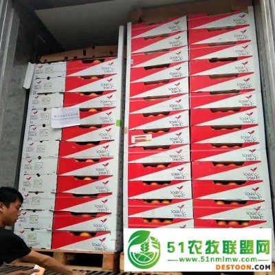 广州江南水果交易市场**供应一手货源进口水果葡萄柚南非西柚原箱30斤批发