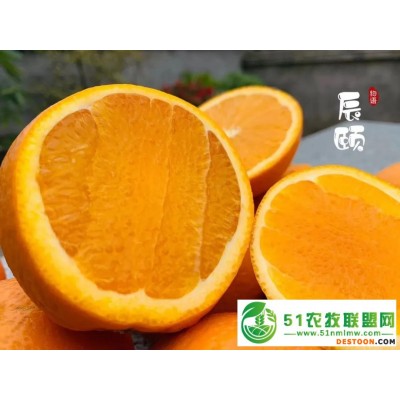 辰颐物语*创业-辰颐物语*代理-辰颐物语赚钱