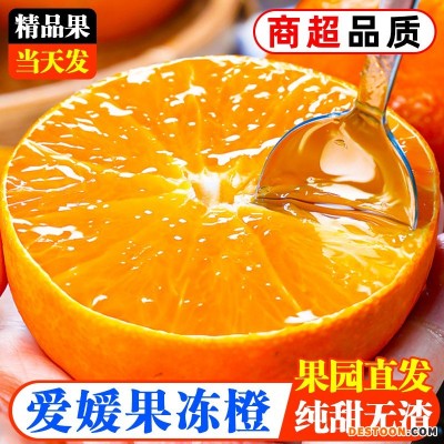 爱媛38号果冻橙新鲜橙子当季水果四川柑橘蜜桔子5斤整箱大果包邮