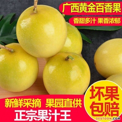 黄金百香果现摘现发新鲜5斤大果当季果热情果一件代发工厂批发