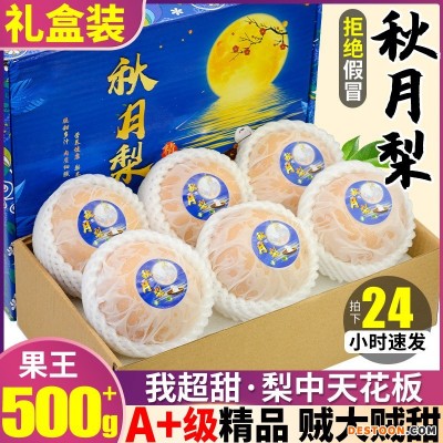 精品果王正宗山东秋月梨10斤梨子当季水果整箱莱阳雪梨包邮甜礼盒