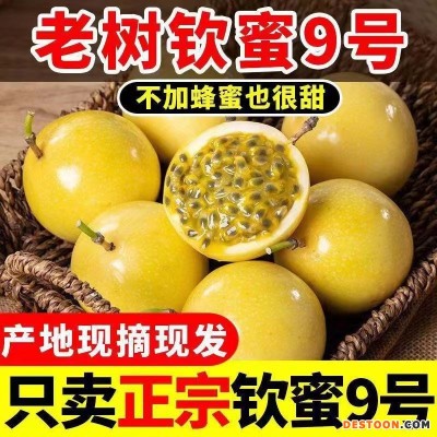 海南黄金百香果 钦蜜九号 蜂蜜百香果，纯甜可空口吃