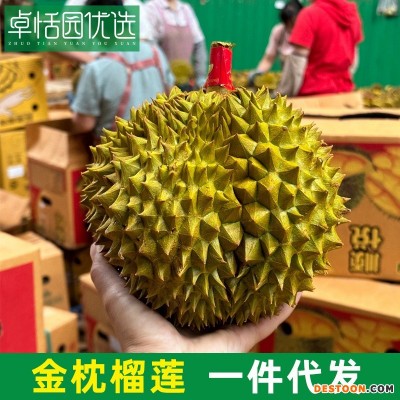 卓恬园 泰国金枕榴莲 应季新鲜时令香甜软糯热带水果 核小肉多