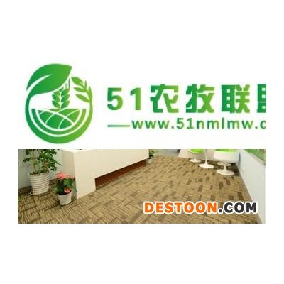 泰国冻榴莲进口清关上海哪家公司可以做