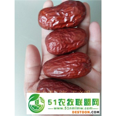 **批发新疆大枣到山东新疆大枣批发加工厂家