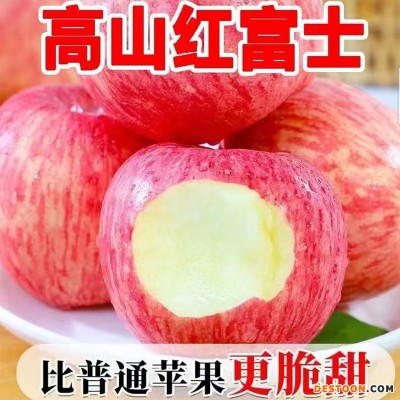 【脆甜多汁】陕西新鲜红富士苹果早熟红富士现摘苹果2斤5斤9斤