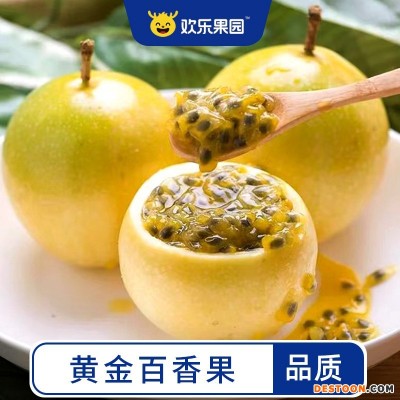 黄金百香果福建2/3斤钦蜜9号新鲜水果黄皮原浆百香果酱现摘包邮