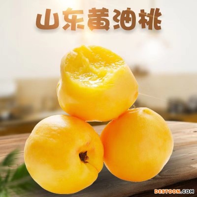 产地直发蒙阴露天黄桃黄金蜜桃黄毛桃新鲜现摘带箱5斤装