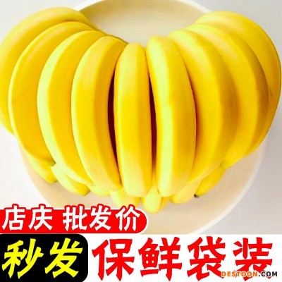 【香糯甜】云南高山香蕉新鲜水果整箱批发非小米蕉芭蕉10/2斤