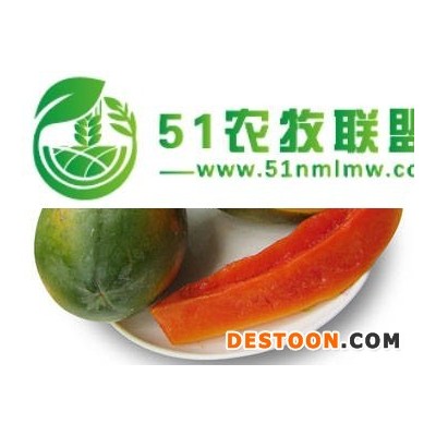 果园直发 海南红心木瓜5/9斤 果园现摘**汁多味甜青皮木瓜 新鲜水果代发