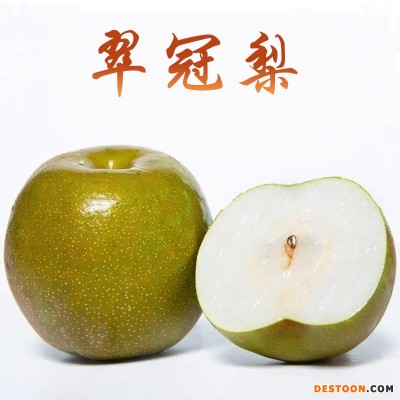 湖北翠冠梨新鲜应季水果脆甜多汁酥梨非砀山梨子批发一件代发