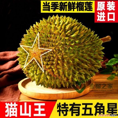 马来西亚猫山王榴莲带壳d197榴莲果肉批发正宗进口水果顺丰包邮
