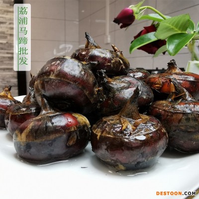 广西荔浦马蹄现挖新鲜带泥荸荠马蹄清甜脆爽马蹄批发