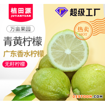 新鲜香水柠檬5斤包邮二级果无籽四季奶茶店专用薄皮厚皮青黄柠檬