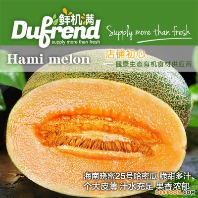 海南哈密瓜西州 新鲜蜜瓜孕妇水果新鲜包邮9斤当季整箱网纹瓜应季
