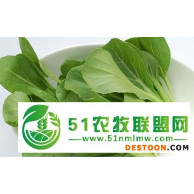 **速冻食材批发蔬菜批发大朗蔬菜配送