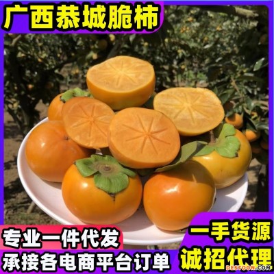 巧克力脆柿广西恭城脆柿脆甜不涩广西硬柿子