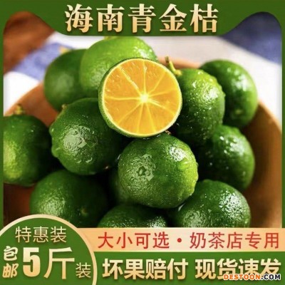 小金桔海南青金桔小青柠新鲜水果奶茶店专用整箱包邮量大从优包邮