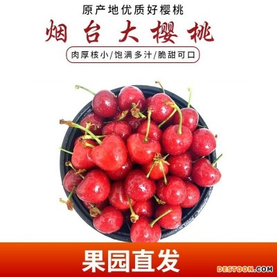现摘山东大樱桃5斤烟台红灯当季孕妇新鲜水果车厘子整箱3斤装包邮
