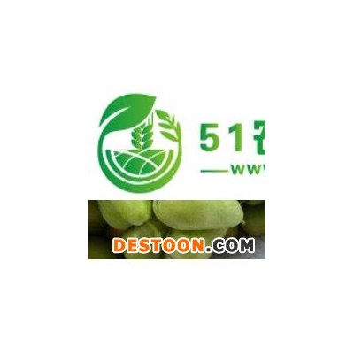 河南巴梨又名无核梨供应早熟半山区好吃又好看