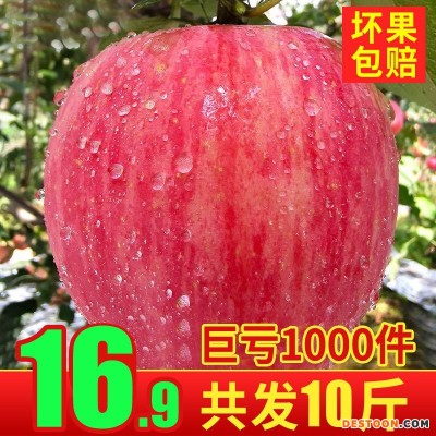苹果水果冰糖心10斤红富士新鲜当季整箱陕西丑苹果脆甜一件批发