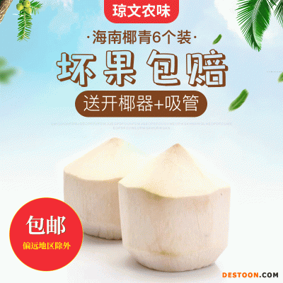 包邮文昌工厂直供海南椰子热带椰青9.6.4个装青椰甘甜爽口优选种
