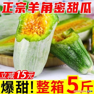 【爆甜羊角密甜瓜】现摘蜜瓜水果批发新鲜孕妇应季当季哈蜜瓜香瓜