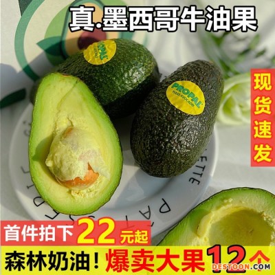 墨西哥牛油果新鲜大果进口鳄梨当季宝宝孕妇水果整箱批发一件代发
