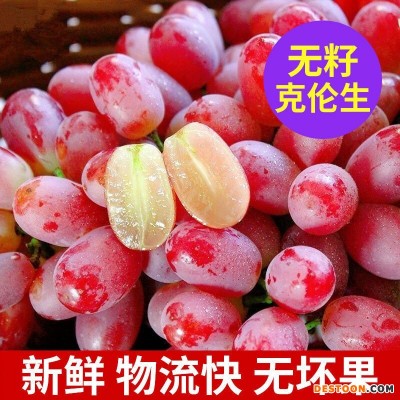 新鲜现摘无籽脆甜红提子克伦生应季当季孕妇水果2斤批发薄皮葡萄