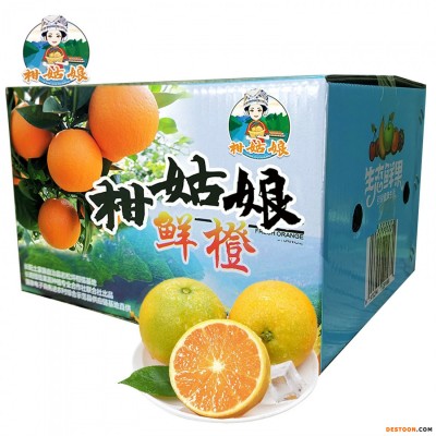 湖北长阳柑姑娘夏橙9斤彩箱装 新鲜应季不打腊水果 产地现摘现发