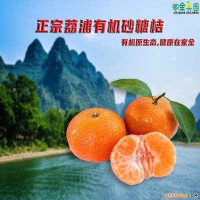 国家认证有机水果正宗有机荔浦砂糖桔无籽蜜桔批发高品质现摘现发