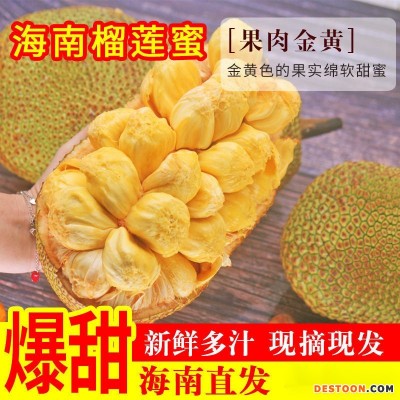 榴莲蜜海南新鲜尖拉非海南密热带新鲜水果包邮批发亚马逊独立站