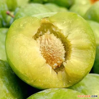 四川李子5斤现货脱骨脆红李茵红李青脆李土李空心李脆甜厂家直销